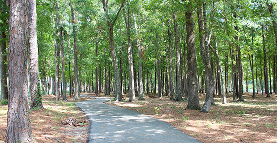 Park trail