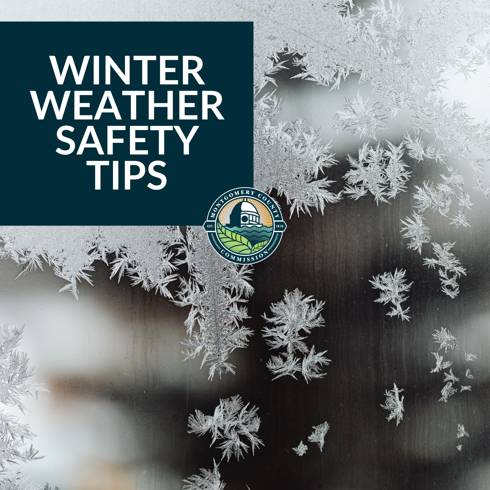 Cold Weather Safety