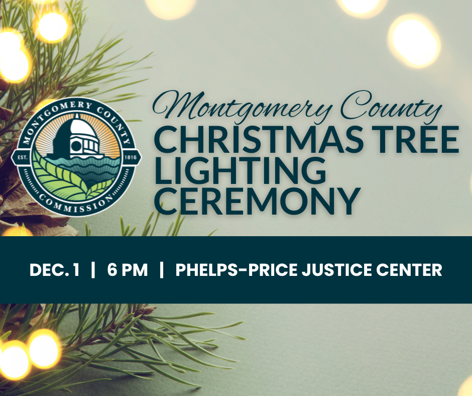 Christmas Tree Lighting Event Cover