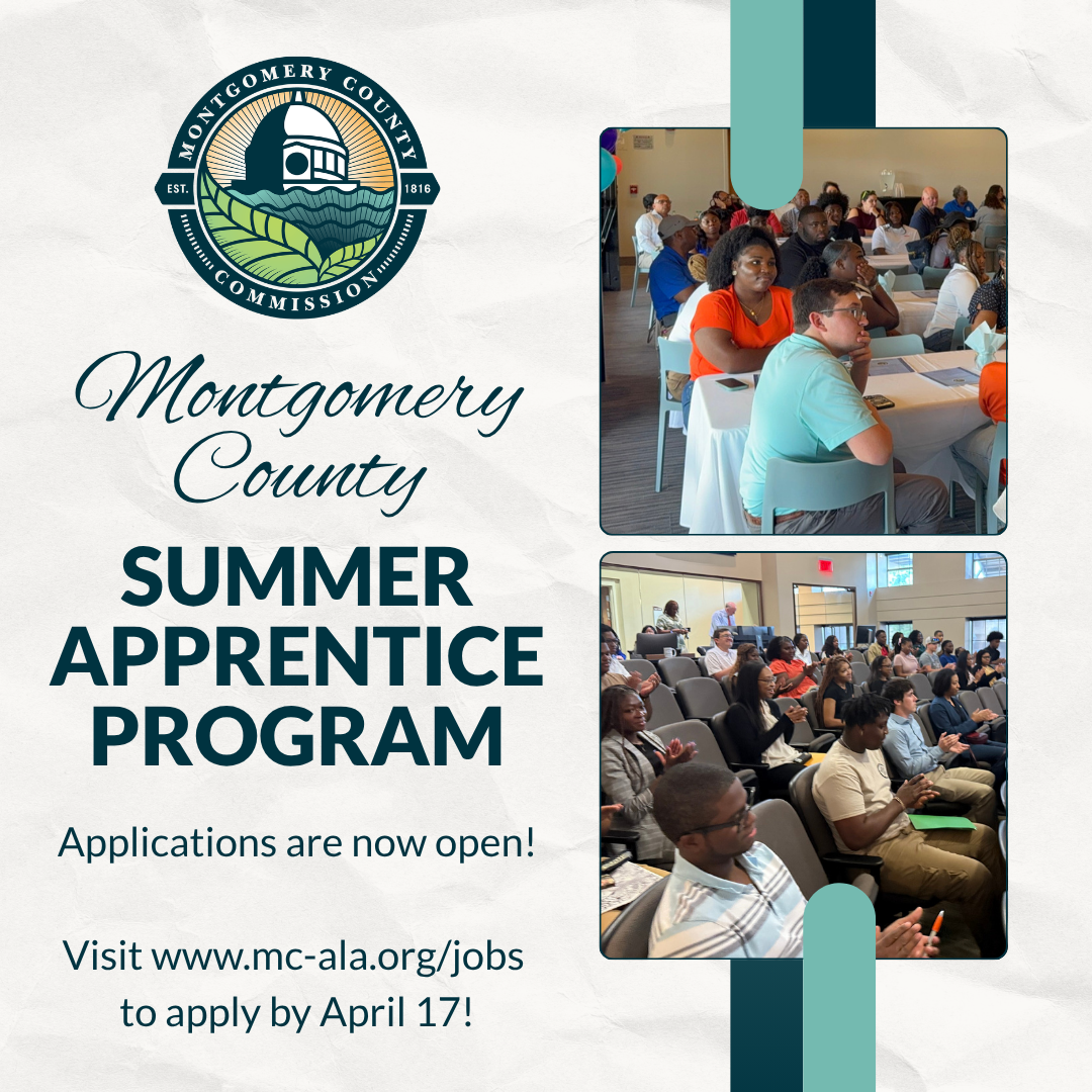Summer Apprentice Program